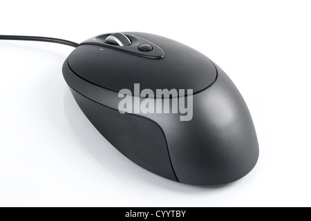 Schwarze Maus isoliert auf einem weißen Hintergrund. Stockfoto