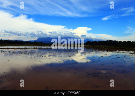 Landschaft des Bezirks Palakkad, Kerala, Indien Stockfoto