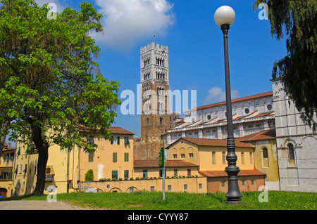 Lucca. Kathedrale. Duomo di San Martino. St-Martins-Dom. Toskana. Italien. Europa Stockfoto