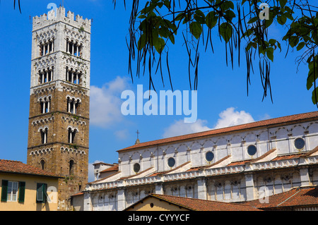 Lucca. Kathedrale. Duomo di San Martino. St-Martins-Dom. Toskana. Italien. Europa Stockfoto