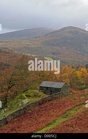 Eine alte Scheune in der Nähe von Eskdale im Lake District genommen an einem regnerischen Tag im Herbst. Stockfoto