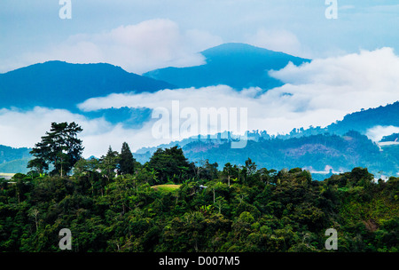 Am frühen Morgen tief hängenden Wolken über den Bergen von Cameron Highlands in Malaysia Stockfoto