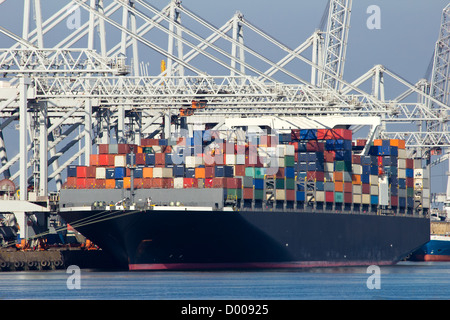 Große Hafen Krane Verladung Container-Schiffe im Hafen von Rotterdam. Stockfoto
