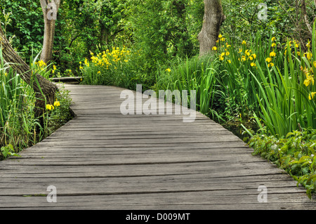 Fußgängerbrücke in Nationalpark Krka, Kroatien Stockfoto