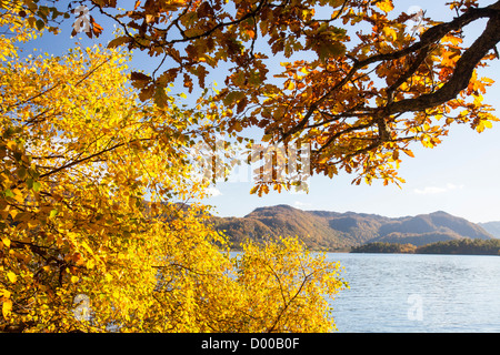 Die Ufer des Derwent Water in der Nähe von Keswick, Lake District, Großbritannien. Stockfoto