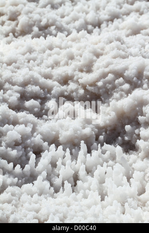 Nahaufnahme von Halit Kristalle (Natriumchlorid) bei Badwater Basin im Death Valley, Kalifornien, USA Stockfoto