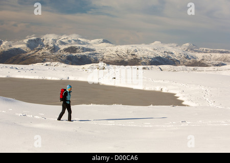 Eine Frau zu Fuß auf den Gipfel des roten Geröllhalden im frühen November Schnee, Lake District, Großbritannien. Stockfoto