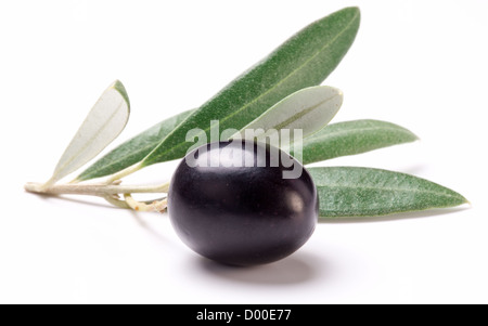 Reife schwarze Olive mit Blättern auf einem weißen Hintergrund. Stockfoto