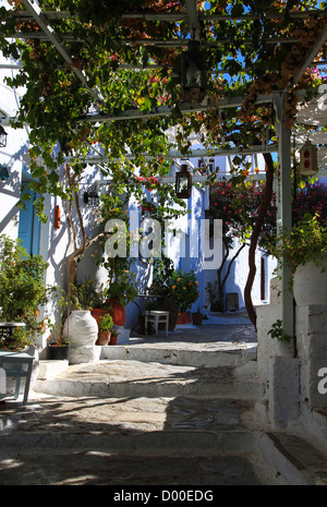 Chora, einem kleinen Dorf in Amorgos (Griechenland) mit wunderschönen roten Blüten, typischen blauen Türen und weißen Architektur Stockfoto
