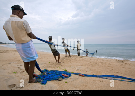 Fischer ziehen das Fischernetz. Arugam Bay. Sri Lanka Stockfoto