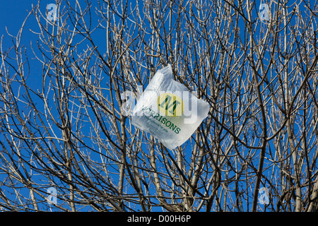 Eine Plastiktüte Morrisons gefangen in den Ästen eines Baumes. VEREINIGTES KÖNIGREICH. Morrison ist einer von Großbritanniens führenden Supermärkte. Stockfoto