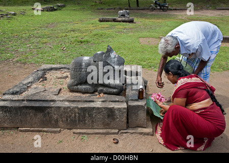 Hindu paar macht eine Ritual ein Nandi Bull (das Fahrzeug des Gottes Shiva) anzubieten. Antike Stadt Polonnaruwa. Sri Lanka Stockfoto