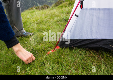 Ein Womans Hand schob in einem Zelthering auf grasbewachsenen Boden. Stockfoto