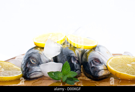 Frische Makrelen Fische auf Eis mit frischen gelben Zitronenscheiben und Gewürzen Stockfoto