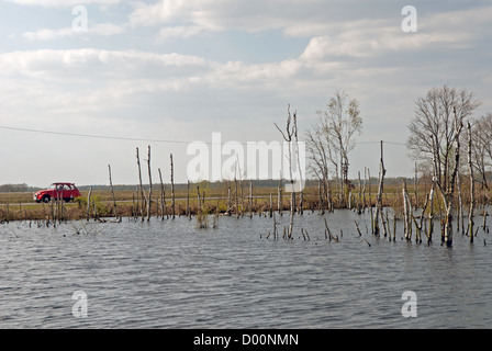 Freistatter Moor, Niedersachsen, Deutschland. Stockfoto