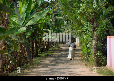 Frau trägt lokalen weißen Sari mit einem Regenschirm Fuß einen schattigen Straße, Kanjippadom, in der Nähe von Alappuzha (Alleppey), Kerala, Indien Stockfoto