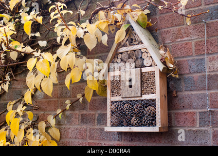 Bienen und Insekten Box Garten Wand befestigt. Stockfoto