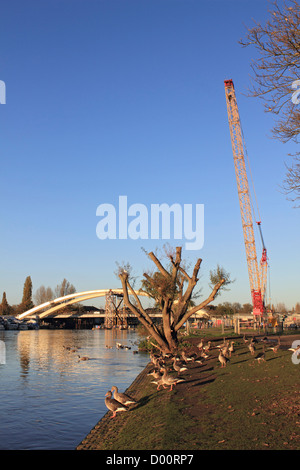 Die neue Brücke in Walton-on-Thames von Costain konstruiert. Der letzte Teil des Bogens wurde in Ort am 6. November 2012 reckte. Stockfoto