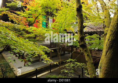 Ahornbäume in einem Tempel entlang der Philosophen Weg, Kyoto, Japan Stockfoto