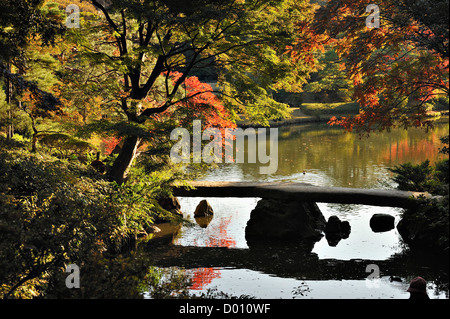 Herbstfarben im Rikugien Park im Zentrum von Tokio, Japan Stockfoto