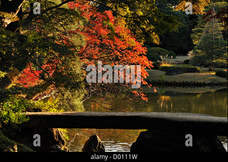 Herbstfarben im Rikugien Park im Zentrum von Tokio, Japan Stockfoto