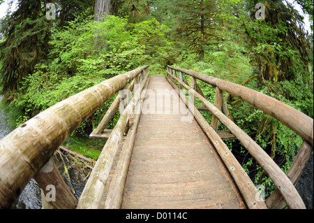 Hölzerne Fußgängerbrücke in einem Wald über dem Wasser Stockfoto