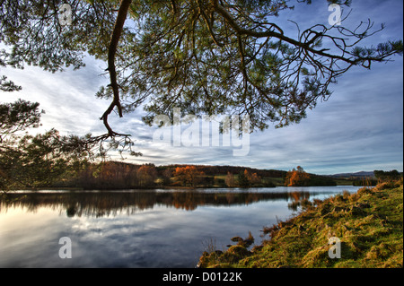 Knapps Loch, Kilmacolm, Renfrewshire, Schottland. Stockfoto