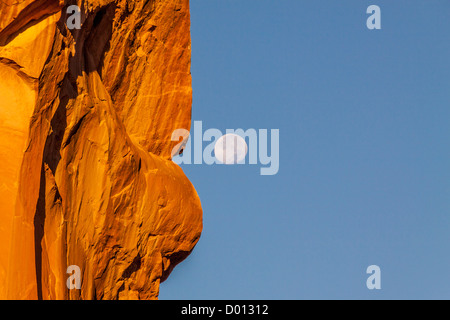 Monduntergang über Parade der Elefanten Felsformation bei Sonnenaufgang im Arches National Park in Utah. Stockfoto