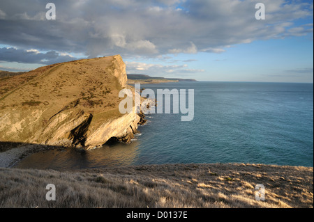 Blick vom Worbarrow Tout auf Gold nach unten auf die Jura-Küste, Dorset, UK. Stockfoto