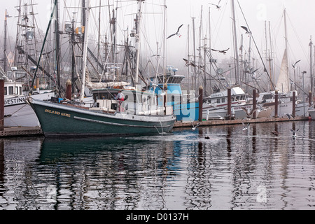 Angelboote/Fischerboote entlang der Newport Pier und Oregons Yaquina Bay ziehen Möwen und diese Seelöwen, die auf der Suche nach Frühstück Fetzen. Stockfoto