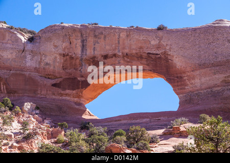 Wilson Arch liegt 24 Meilen südlich von Moab, Utah, an der US 191, ein dramatischer natürlicher Sandsteinbogen (Entrada Sandstein genannt). Stockfoto