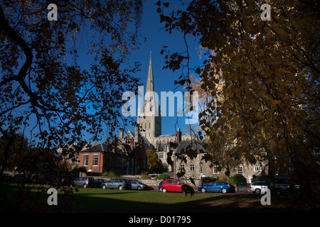 Norwich Cathedral Stockfoto