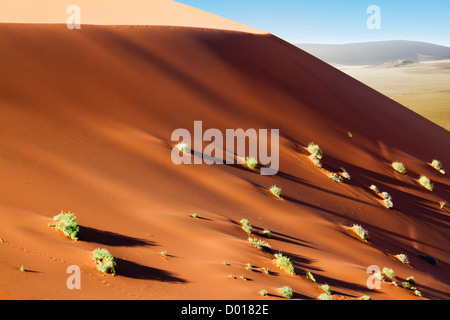 Wandernden Dünen von Sossuvlei in Namibia Stockfoto