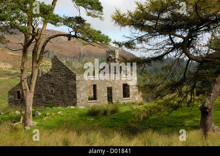 Waldhügel verlassenen Bauernhaus in der Nähe von Bengairn, Dumfries & Galloway, Schottland Stockfoto