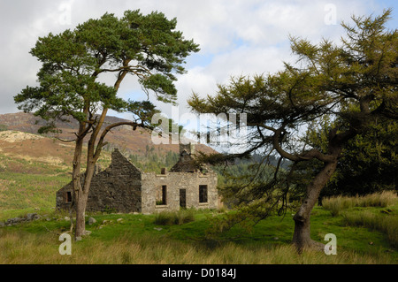 Waldhügel verlassenen Bauernhaus in der Nähe von Bengairn, Dumfries & Galloway, Schottland Stockfoto