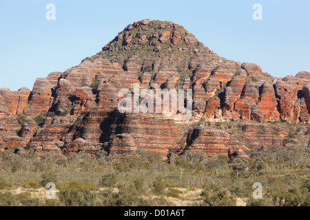 Sandstein und Konglomerat Felsformationen bekannt als der Bungle Bungles. Purnululu National Park, Western Australia. Stockfoto
