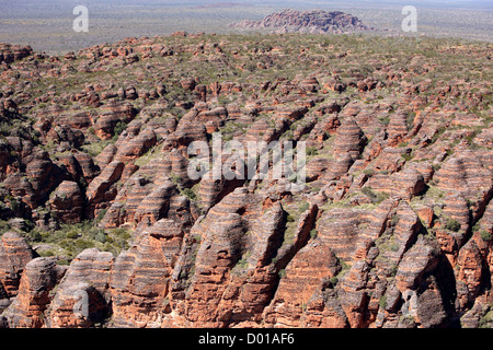 Sandstein und Konglomerat Felsformationen bekannt als der Bungle Bungles. Purnululu National Park, Western Australia. Stockfoto