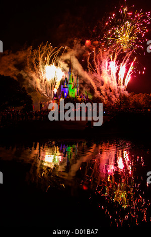 Disneyworld Florida USA Magic Kingdom will 2012 Stockfoto