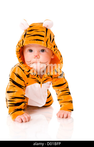 Sechs Monate Baby tragen Tiger Anzug sitzen isoliert auf weiss Stockfoto