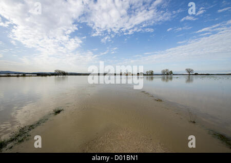 PERUGIA, Italien-NOV.13:a Polizisten eine Brücke über den Tiber in der Nähe von Marsciano in der Nähe von Perugia, Italien am 13. November 2012 prüfen., nach zwei Tagen Regen eine große Überschwemmung der Umbrien getroffen hat. Die Folgen sind schwer, und die meisten der Region ist unter Wasser. Vor allem die Landwirtschaft wurde sehr hart getroffen, Stockfoto