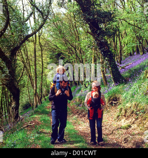 Junge Familie, Wandern mit Kindern in Bluebell Holz im Frühjahr Wales UK KATHY DEWITT Stockfoto