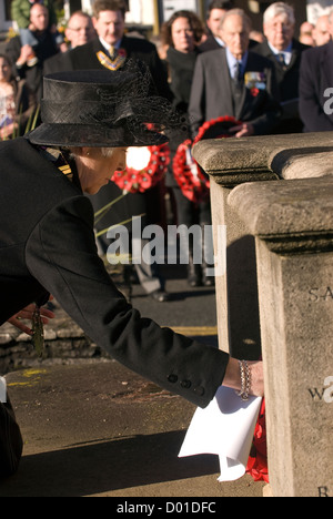 Bürgermeister von haslemere über ein Riff auf das Gedenken Sonntag, High Street, Haslemere, Surrey, Großbritannien. 11.11.2012. Stockfoto