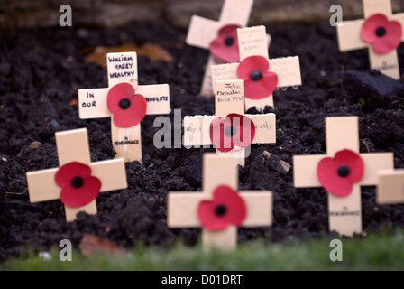 Mohn in der Masse auf das Gedenken Sonntag, High Street, Haslemere, Surrey, Großbritannien. 11.11.2012. Stockfoto