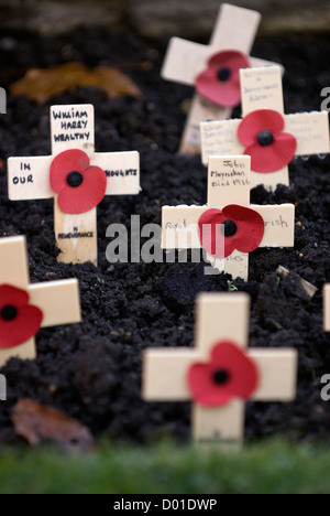 Mohn in der Masse auf das Gedenken Sonntag, High Street, Haslemere, Surrey, Großbritannien. 11.11.2012. Stockfoto