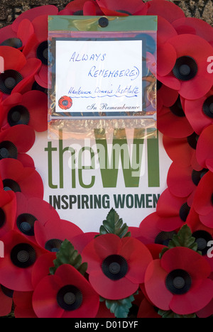 Riff von der örtlichen Frauen Institut Links (Wi) auf das Gedenken Sonntag, High Street, Haslemere, Surrey, Großbritannien. 11.11.2012. Stockfoto