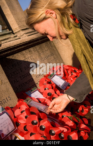 Frau durchlesen Kränze von Memorial auf das Gedenken Sonntag links, High Street, Haslemere, Surrey, Großbritannien. 11.11.2012. Stockfoto