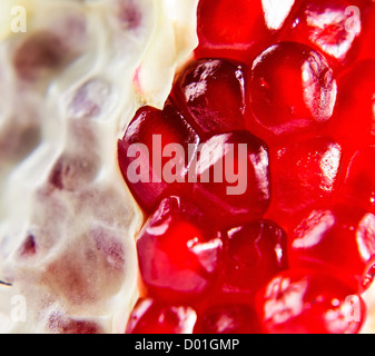 Granatapfel-Frucht-Samen, Makroaufnahme, konzentrieren sich auf ein Zentrum Stockfoto