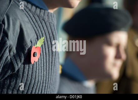 Bild von Darren Cool Remembrance Sunday in Brighton, Sussex, UK. Parade in brighton Stockfoto