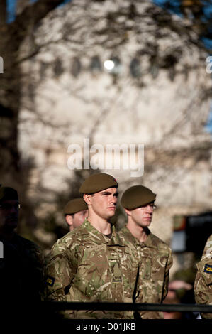 Bild von Darren Cool Remembrance Sunday in Brighton, Sussex, UK. Mitglieder des TA stehen in der Nähe von Brighton pavillion Stockfoto