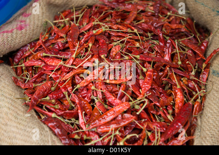 Plünderung rote Chilis für Verkauf, Basar Road, Fort Cochin, Kochi (Cochin), Kerala, Indien Stockfoto